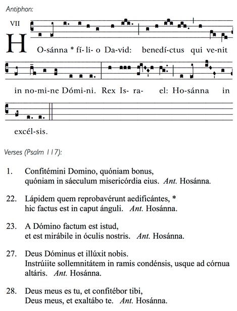 Hosanna filio David JPEG FINAL